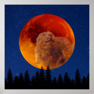 Beaver Moon in November Poster
