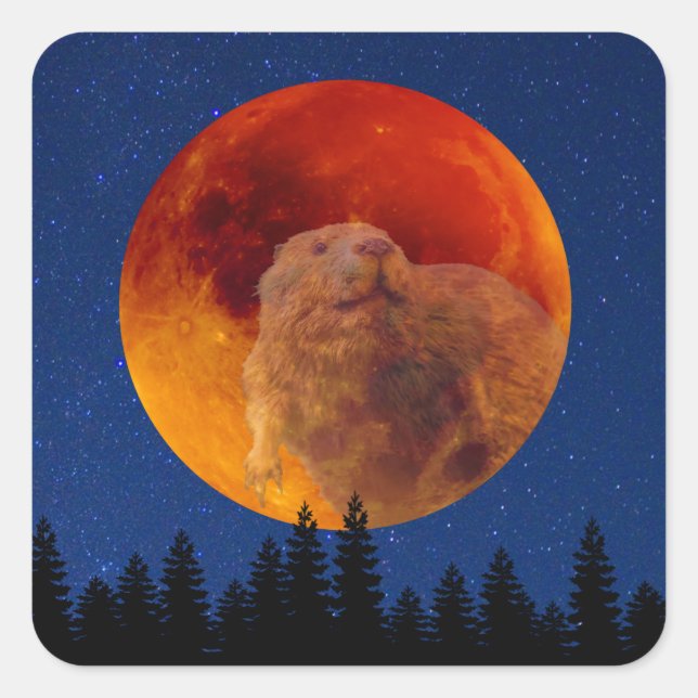 Beaver Moon in November Square Sticker (Front)