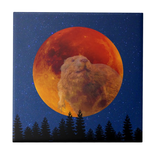 Beaver Moon in November Tile (Front)