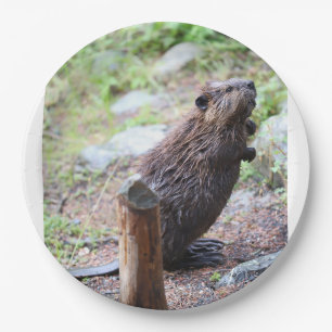 Beaver Paper Plate