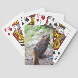 Beaver Playing Cards