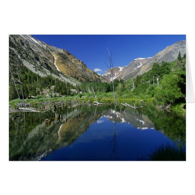 Beaver Pond, Lundy canyon (Front Horizontal)