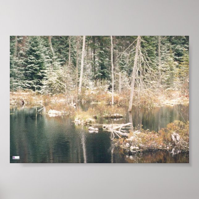Beaver Pond Poster (Front)