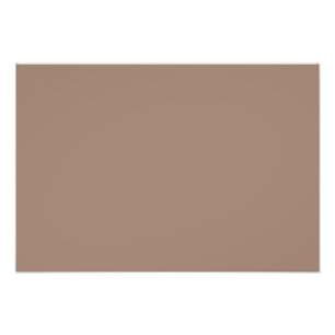 Beaver  (solid colour)  photo print