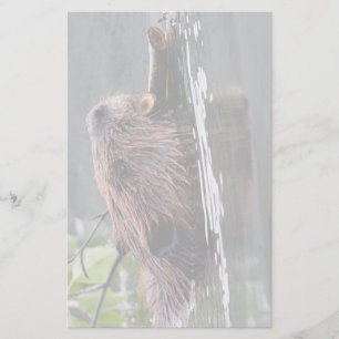 beaver stationery