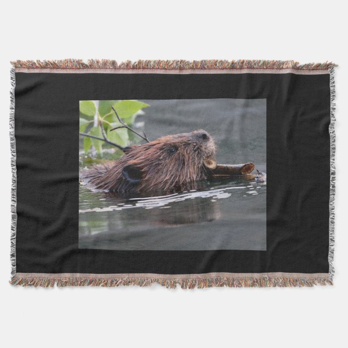 beaver throw blanket Zazzle.co.uk