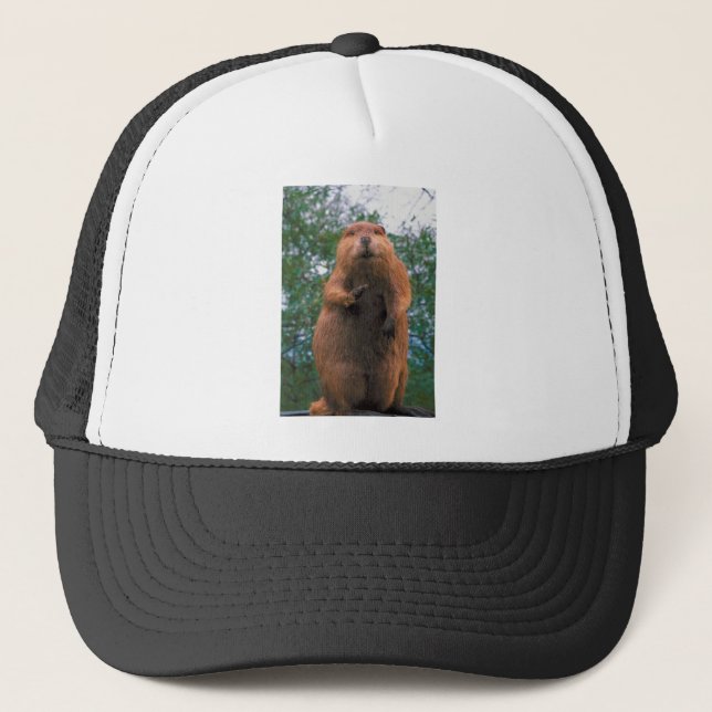 Beaver Trucker Hat (Front)