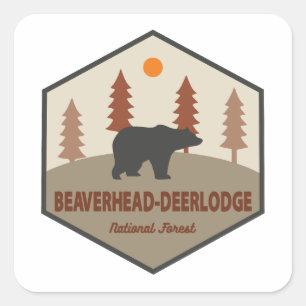 Beaverhead-Deerlodge National Forest Montana Bear Square Sticker