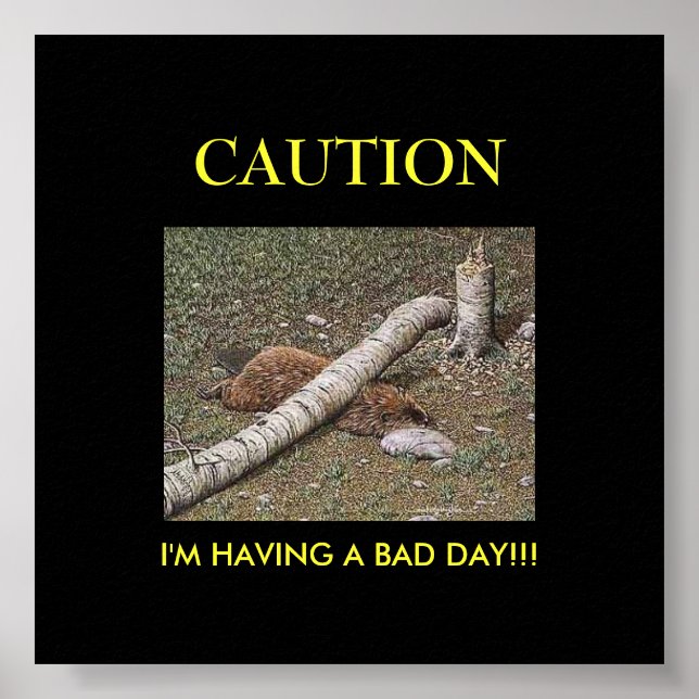 Beaver's Bad Day Poster (Front)