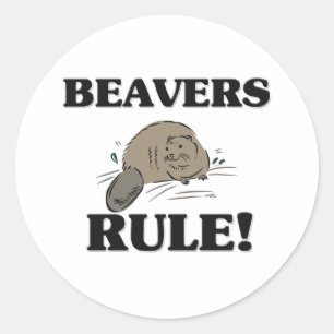 BEAVERS Rule! Classic Round Sticker
