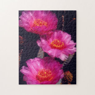 Beavertail Cactus Flowers 2 Jigsaw Puzzle