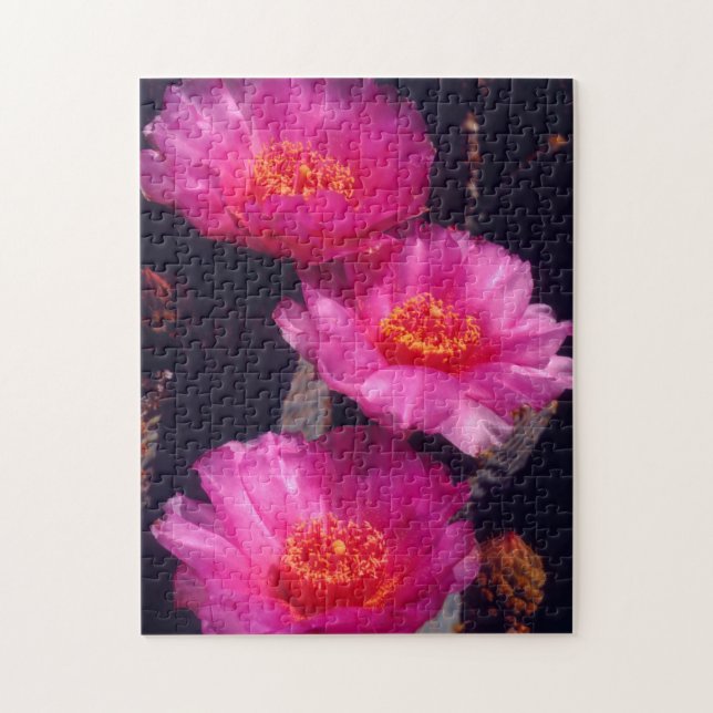 Beavertail Cactus Flowers 2 Jigsaw Puzzle (Vertical)