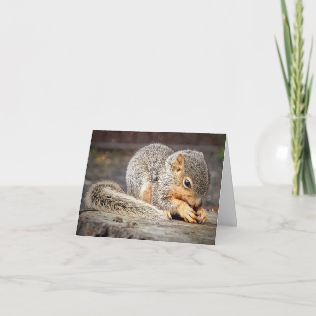 Bebe Squirrel Note Card (Front)