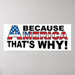 Because America Funny Poster