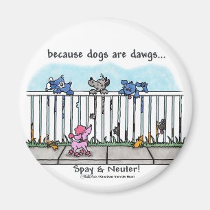 Because Dogs are Dawgs Magnet