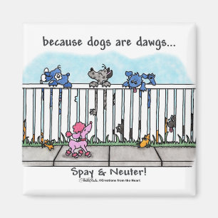 Because Dogs are Dawgs Magnet