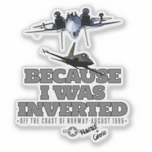 BECAUSE I WAS INVERTED