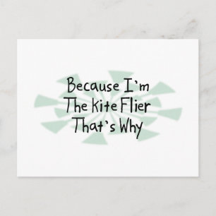 Because I'm the Kite Flier Postcard