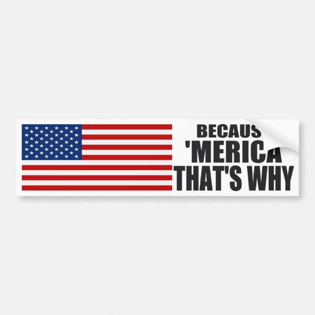 BECAUSE 'MERICA THAT'S WHY Bumper Sticker (Front)