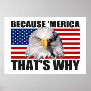 BECAUSE 'MERICA THAT'S WHY US Flag Poster (large)