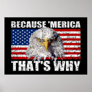 BECAUSE 'MERICA THAT'S WHY US Flag Poster (large)