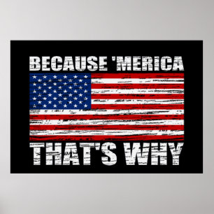 BECAUSE 'MERICA THAT'S WHY US Flag Poster (large)