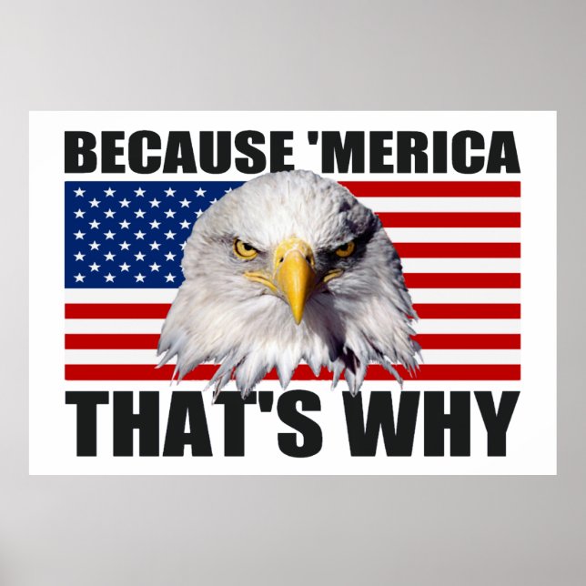 BECAUSE 'MERICA THAT'S WHY US Flag Poster (large) (Front)