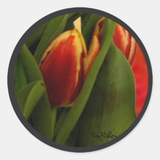 Becky's Tulips jGibney Signature Greenville SC The Classic Round Sticker