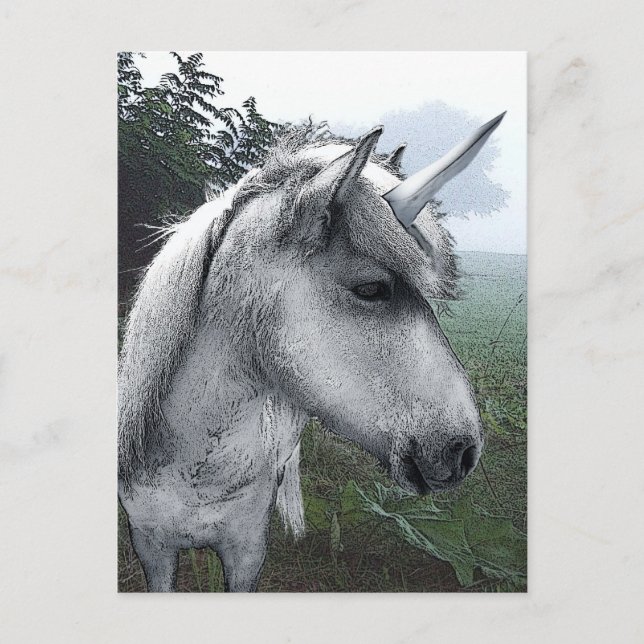 Becky's Unicorn Postcard (Front)