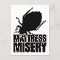 Bed Bugs Bed Bug Bedbugs – Entomology Geek
