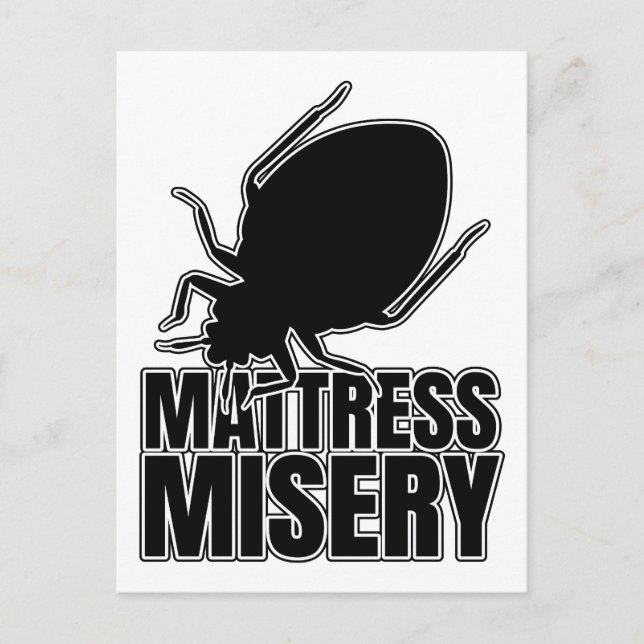 Bed Bugs Bed Bug Bedbugs – Entomology Geek Postcard (Front)