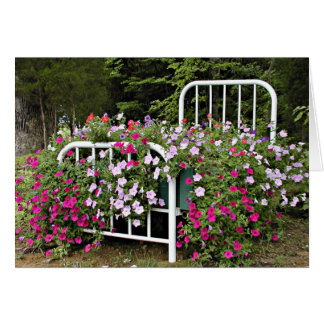 Bed of petunias