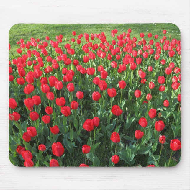 Bed of Red Tulips 01 Mouse Mat (Front)
