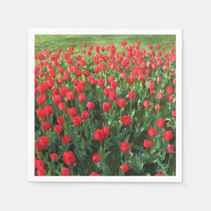 Bed of Red Tulips 01 Napkin