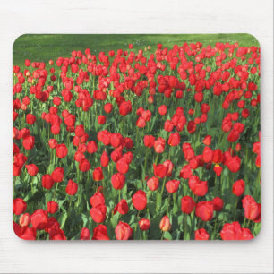 Bed of Red Tulips 02 Mouse Mat