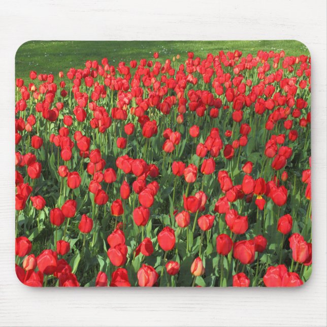 Bed of Red Tulips 02 Mouse Mat (Front)