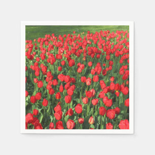 Bed of Red Tulips 02 Napkin
