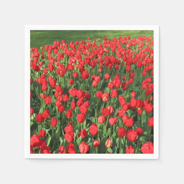Bed of Red Tulips 02 Napkin (Front)