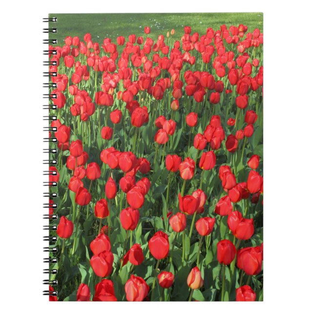 Bed of Red Tulips 02 Notebook (Front)