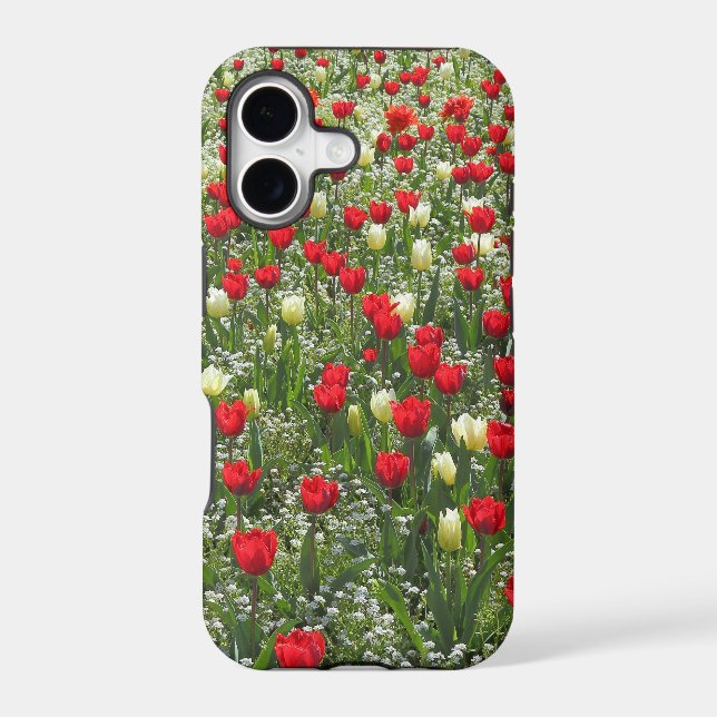 Bed of Tulips (Back)