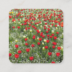 Bed of Tulips and Other Flowers Square Business Card