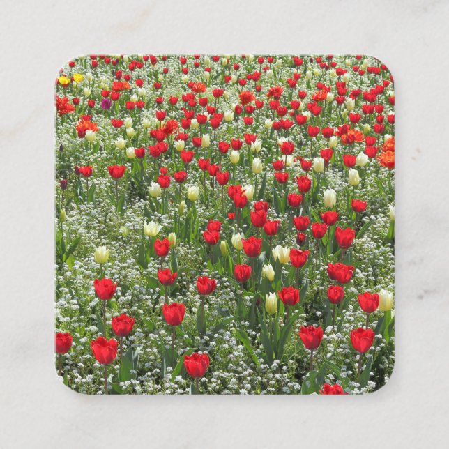 Bed of Tulips and Other Flowers Square Business Card (Front)