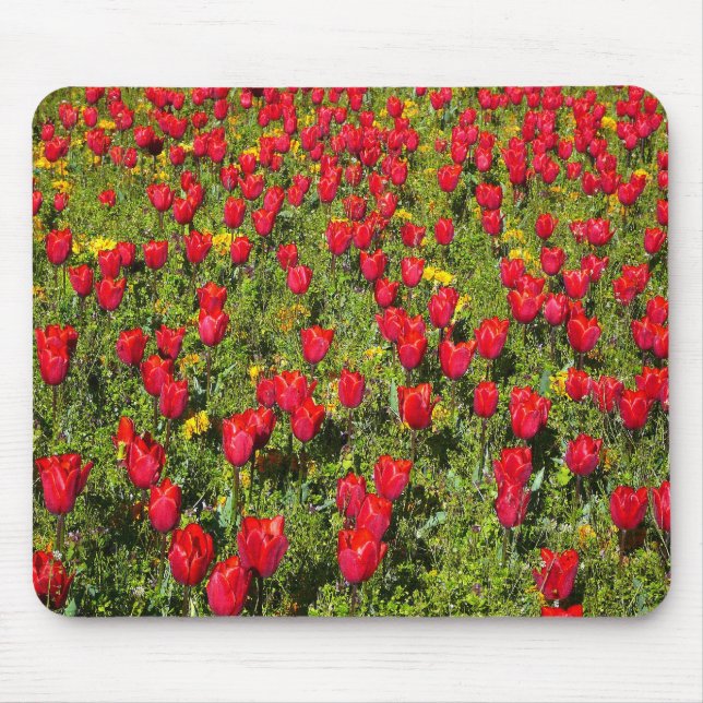 Bed of Tulips Mouse Mat (Front)