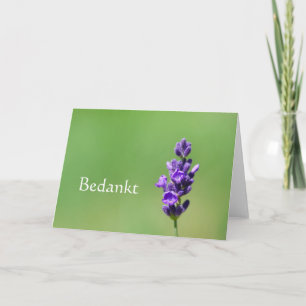 Bedankt - Thank you in Dutch with lavender flower