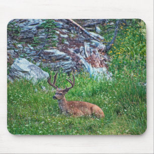 Bedded Buck Mouse Mat