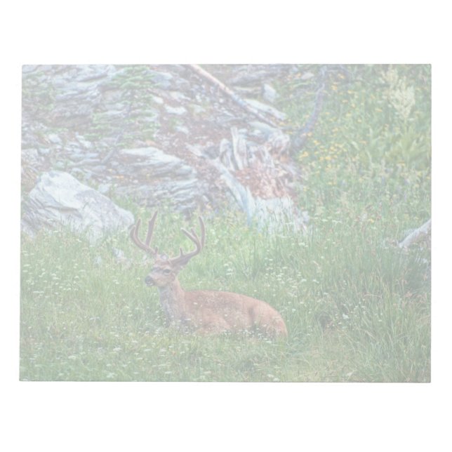 Bedded Buck Notepad (Front)