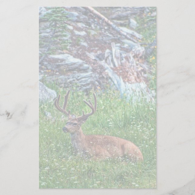 Bedded Buck Stationery (Front)