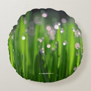 Bedewed Wheatgrass in the Morning Light Round Cushion
