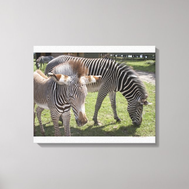 Bedfordshire, England 2 Canvas Print (Front)
