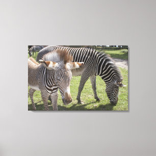 Bedfordshire, England 2 Canvas Print